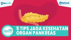 Cara Menjaga Kesehatan Pankreas Kunci Vitalitas Tubuh Anda