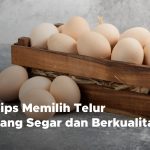 Rahasia Dapur Cara Memilih Telur Yang Masih Segar Dan Berkualitas Untuk Hasil Masakan Sempurna